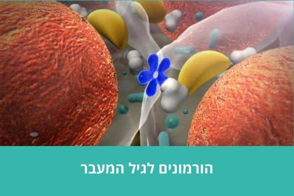 הורמונים לגיל המעבר