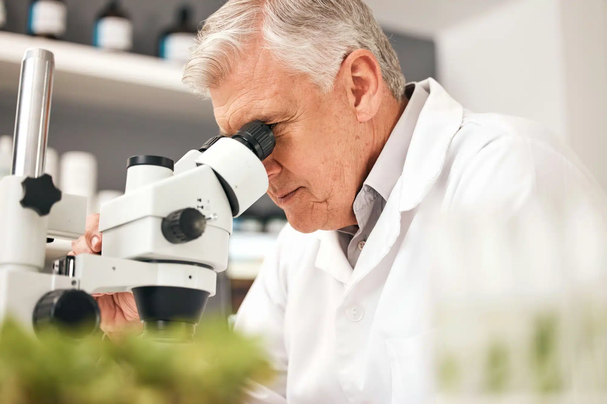 Scientist, plants and microscope in laboratory for healthcare research, natural medicine and growth